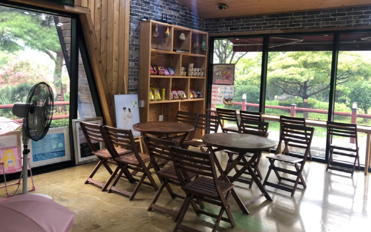 장흥 하늘빛수목원