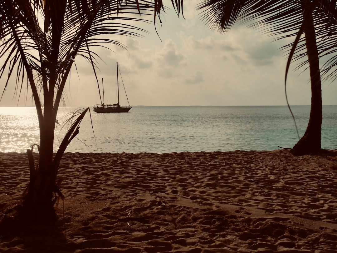 Holiday.