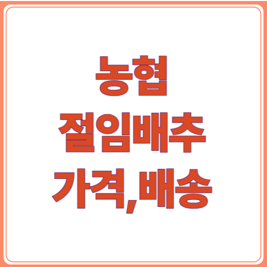 2025 농협 절임배추 가격/품질 비교 구매 팁 총정리