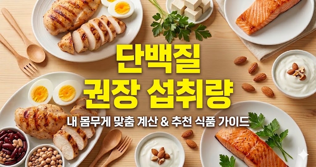 닭가슴살, 연어, 두부 등 다양한 단백질 식품과 함께 "단백질 권장 섭취량", "내 몸무게 맞춤 계산 &amp; 추천 식품 가이드"라는 텍스트가 적힌 이미지