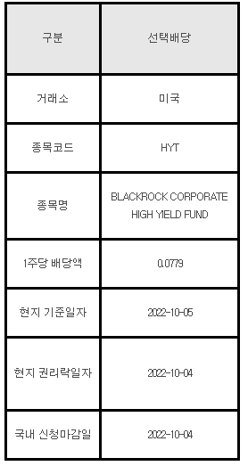 미국주식 선택배당 안내 HYT