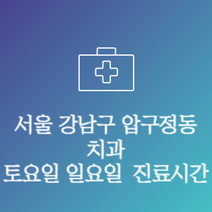 서울 강남구 압구정동 치과 주말 토요일 일요일 문여는 병원 진료시간