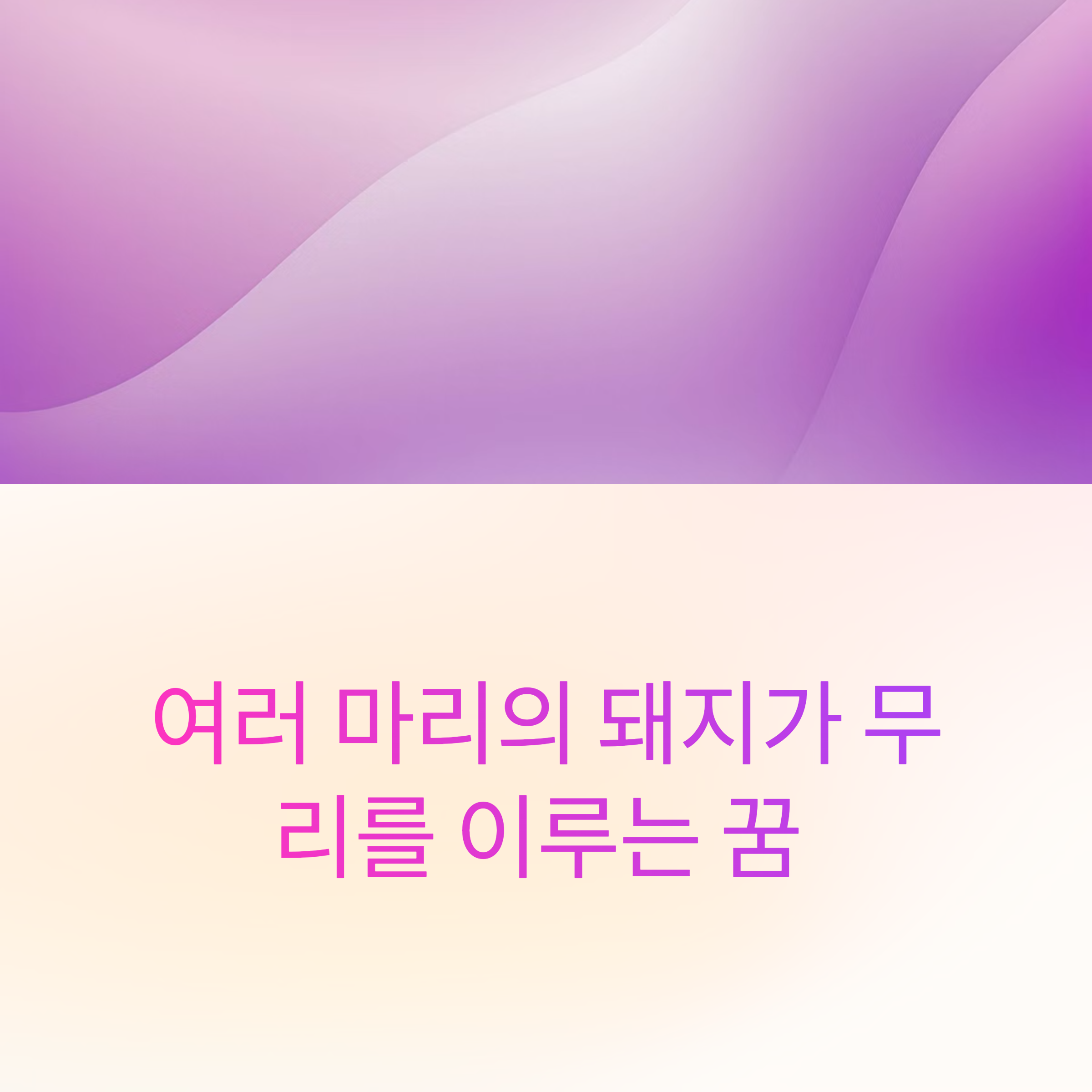 여러 마리의 돼지가 무리를 이루는 꿈