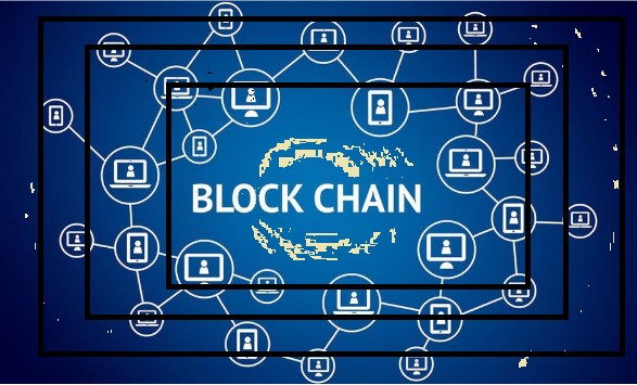 블록체인의 시각화