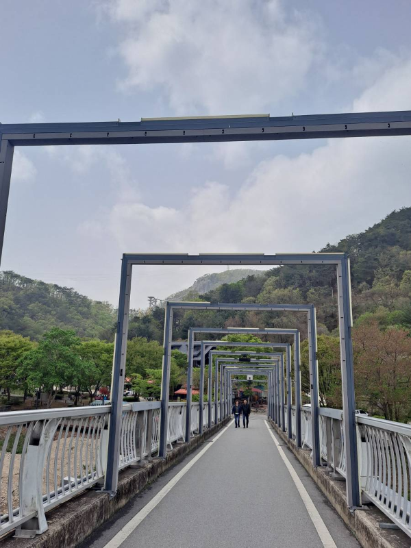소금산밸리 건너가는 다리