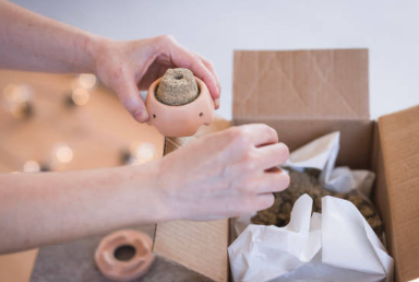 쑥 7가지 효능 및 캐는 시기 (+ 요리 된장국 끓이는 법 보관방법)