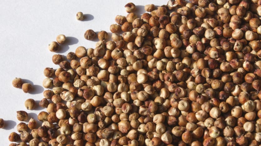 수수 효능의 썸네일