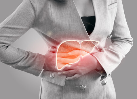 마른 지방간의 예