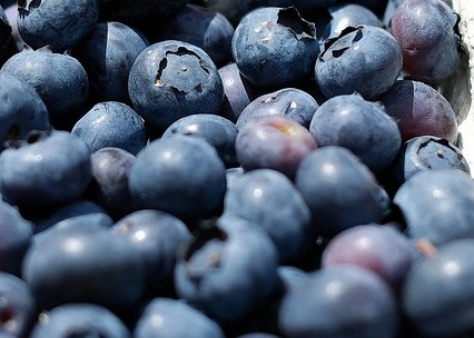 염증에 좋은 음식