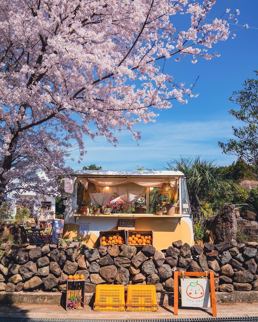 제주공항 근처 밥집 맛집