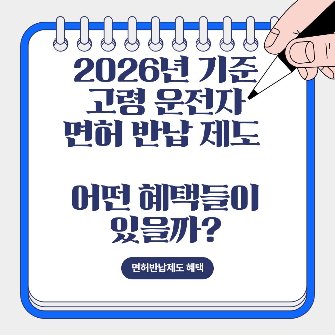 고령 운전자 면허 자진 반납 혜택 정리(2026년 기준)