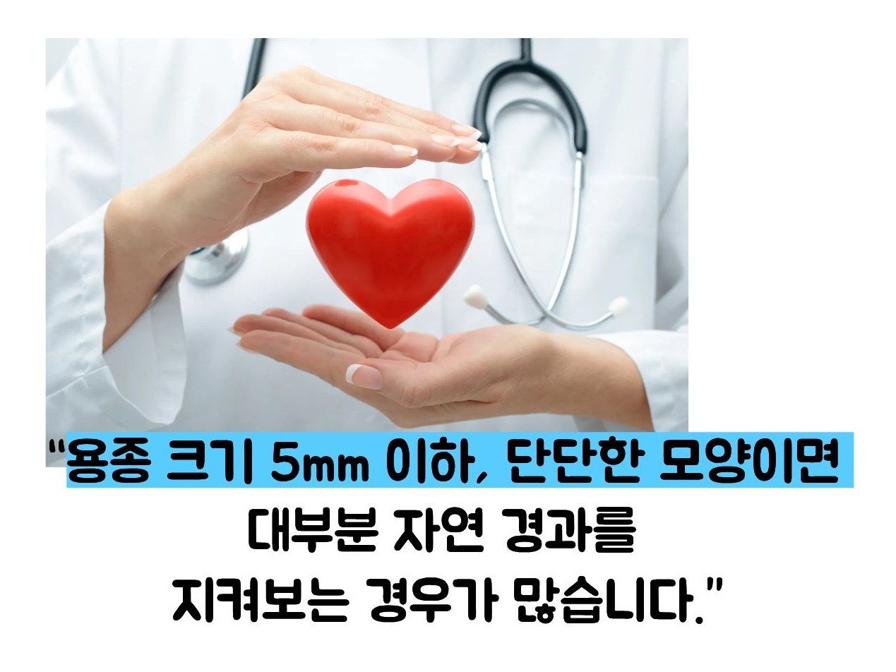 담낭 용종 줄이는 방법