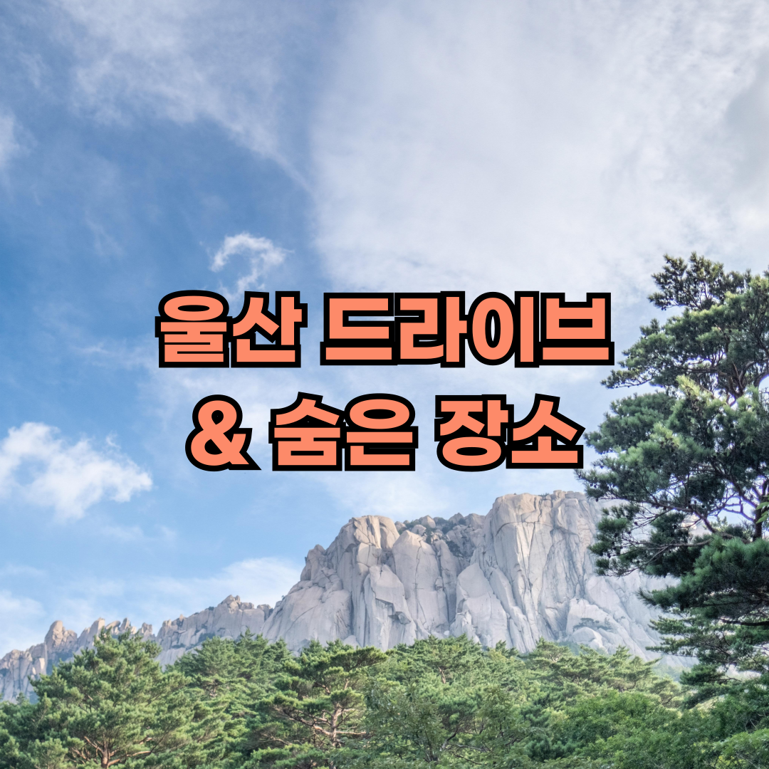 울산 드라이브 숨은 장소