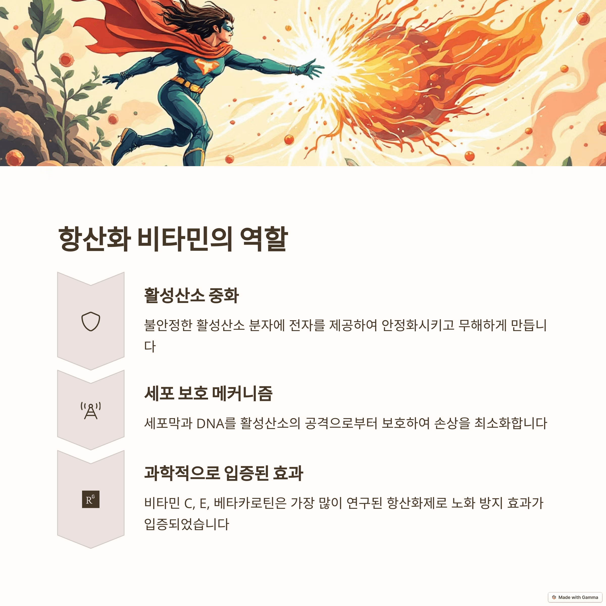 노화 지연의 핵심, 항산화 비타민: 젊음 유지 비법 & 완벽 가이드