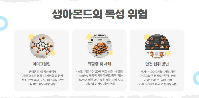 생아몬드의 독성 위험