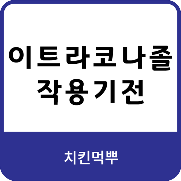 이트라코나졸의-치료-효과와-병용-금지-항목에-대한-이미지