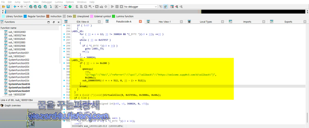 IDA 로 본 악성코드 C2