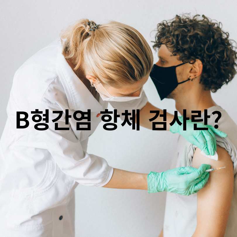 B형간염 항체 양성? 음성? 
