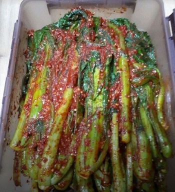 6시내고향-여수갓김치