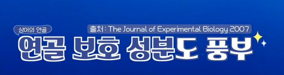콘드로이친