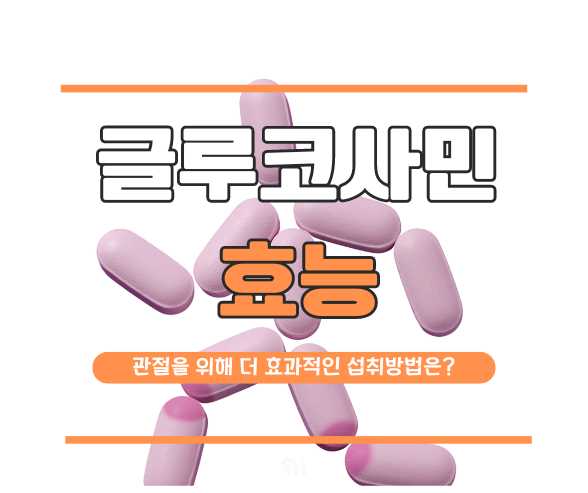 글루코사민의 효능