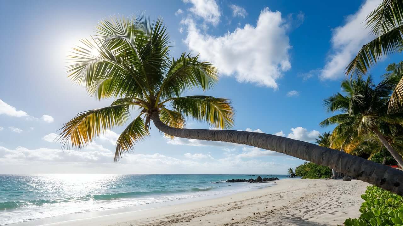 여름휴가 여행지 관련 사진