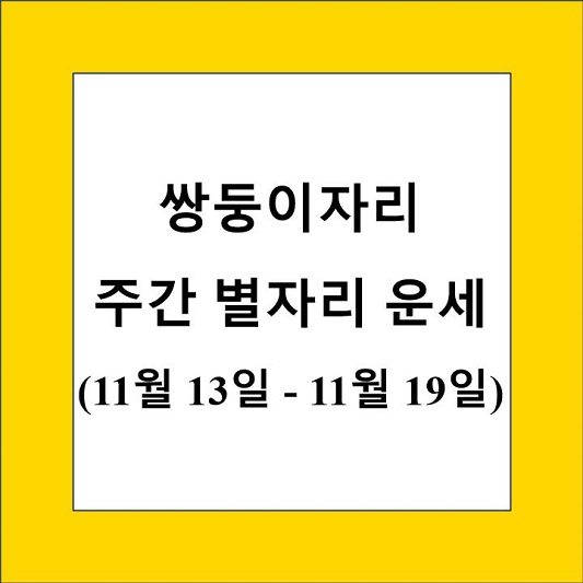 쌍둥이자리 주간 별자리 운세 제목 상자