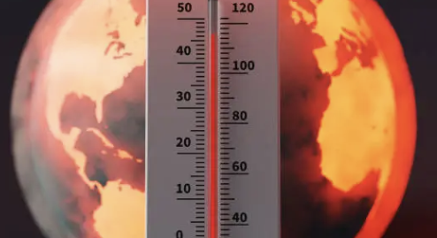 말라리아 증상 4