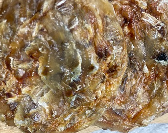 쥐치 포