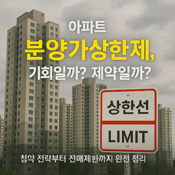분양가상한제 썸네일 이미지입니다.