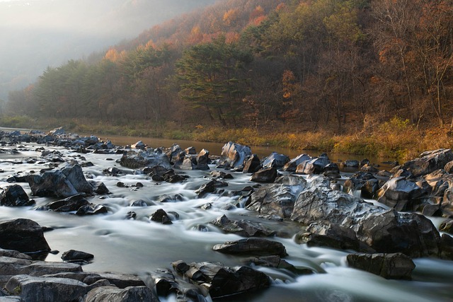 6시 내고향 경북영천