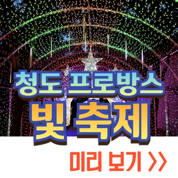 청도 프로방스 빛축제