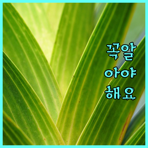 리프팅 시술로 10년 어려지는 비결 