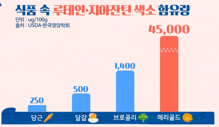 루테인 지아잔틴 섭취법