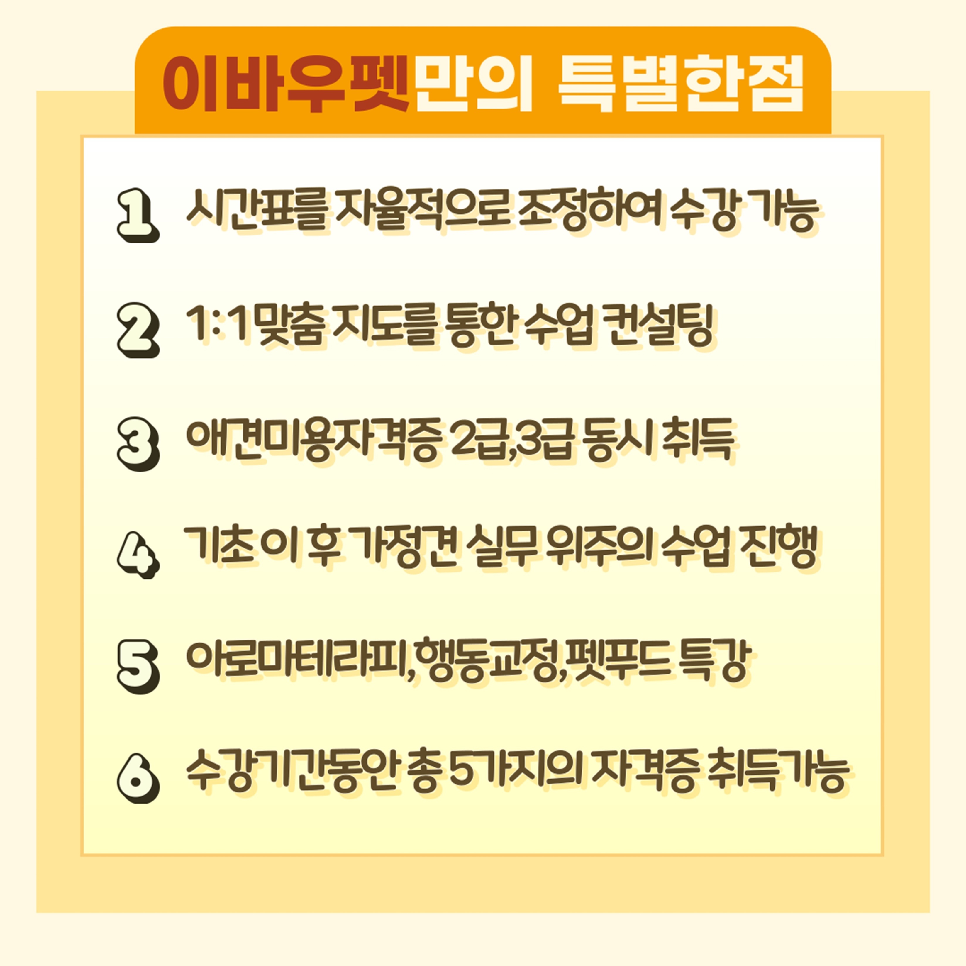 이바우펫학원