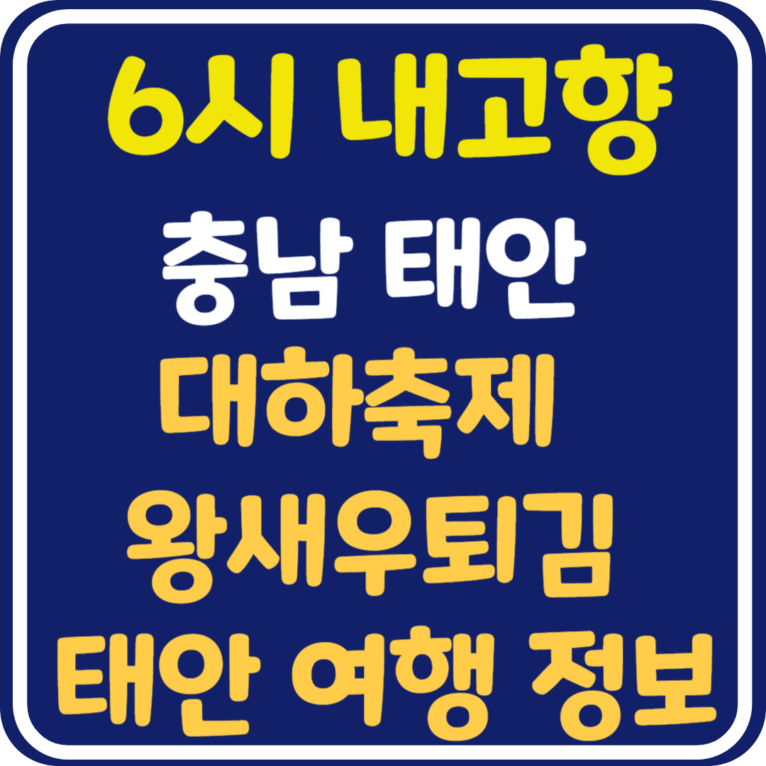 6시 내고향 태안 기행 대하축제, 왕새우 튀김& 대하식당, 서핑, 코리아플라워파크, 파도리 해식동굴, 백화산 구름다리 정보 안내