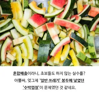 수박껍질 음식물쓰레기 헷갈리는 분들을 위한 정확한 정리_11