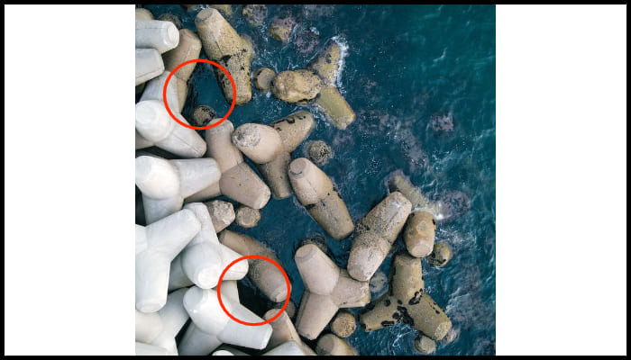 테트라포트-포인트