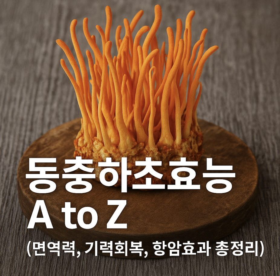 동충하초효능 A to Z (면역력, 기력회복, 항암효과 총정리)