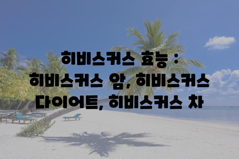샘플 (79)