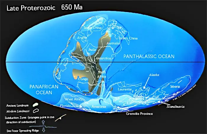 선캄브리아시대 (약 6억 5000만 년 전)
