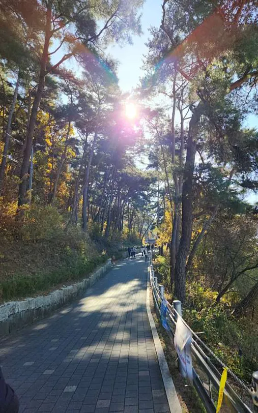 금시당