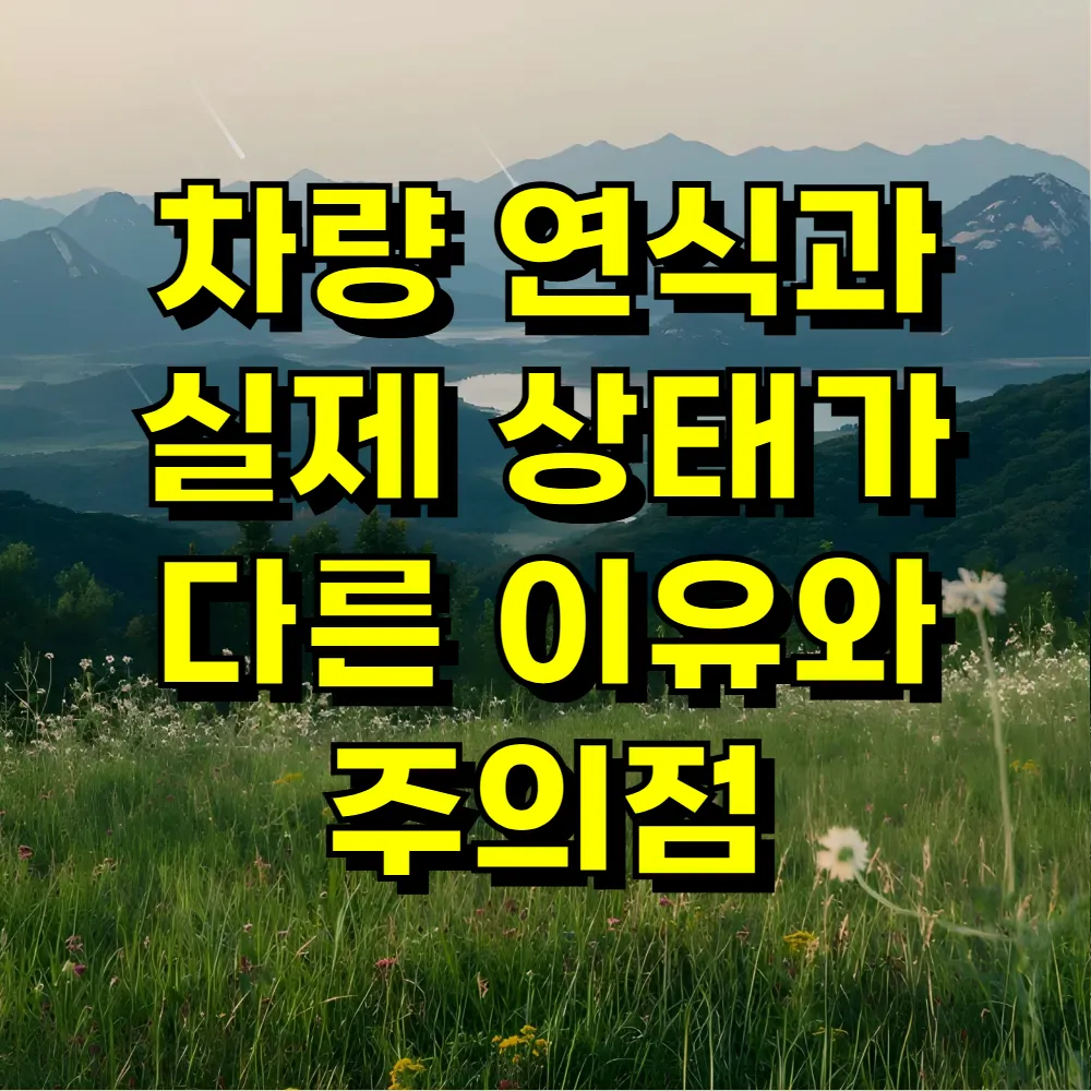 차량 연식과 실제 상태가 다른 이유와 주의점
