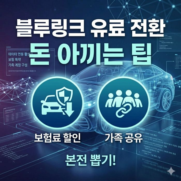 블루링크 유료전환 팁 제공 돈 아끼는 법