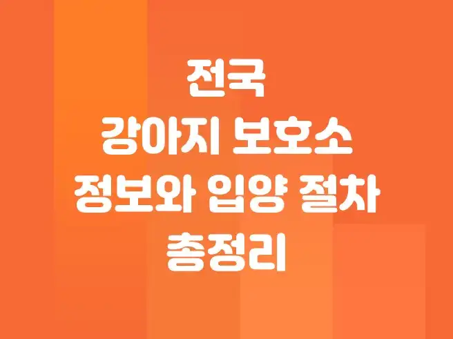 전국 강아지 보호소 정보와 입양 절차 총정리