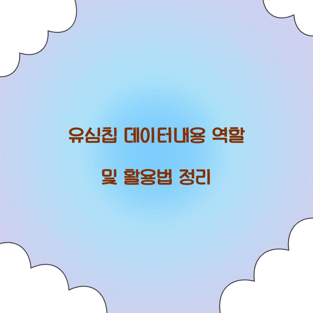 유심칩 데이터내용 역할