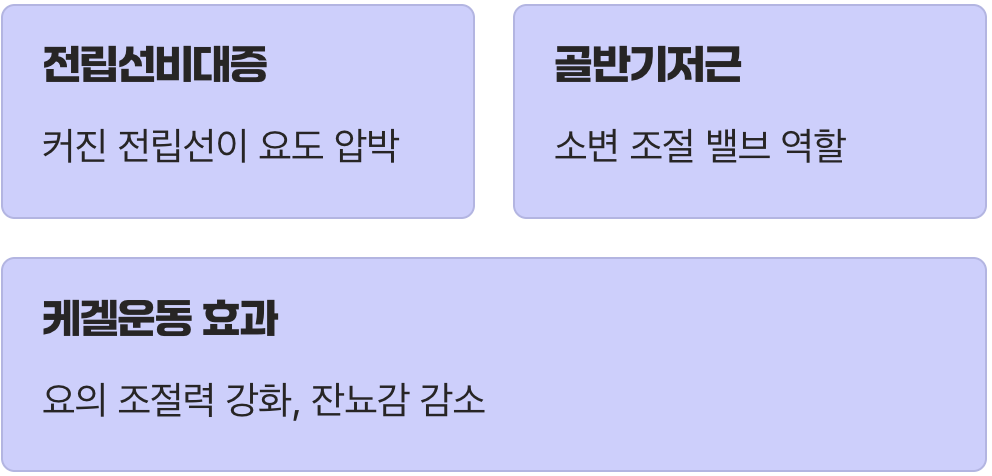 문제는 전립선인데, 왜 엉뚱한 근육 운동을?