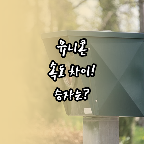 유니콘 HTTPS와 Pro VPN 속..