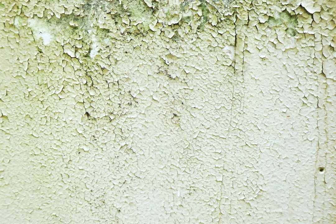 Mold.