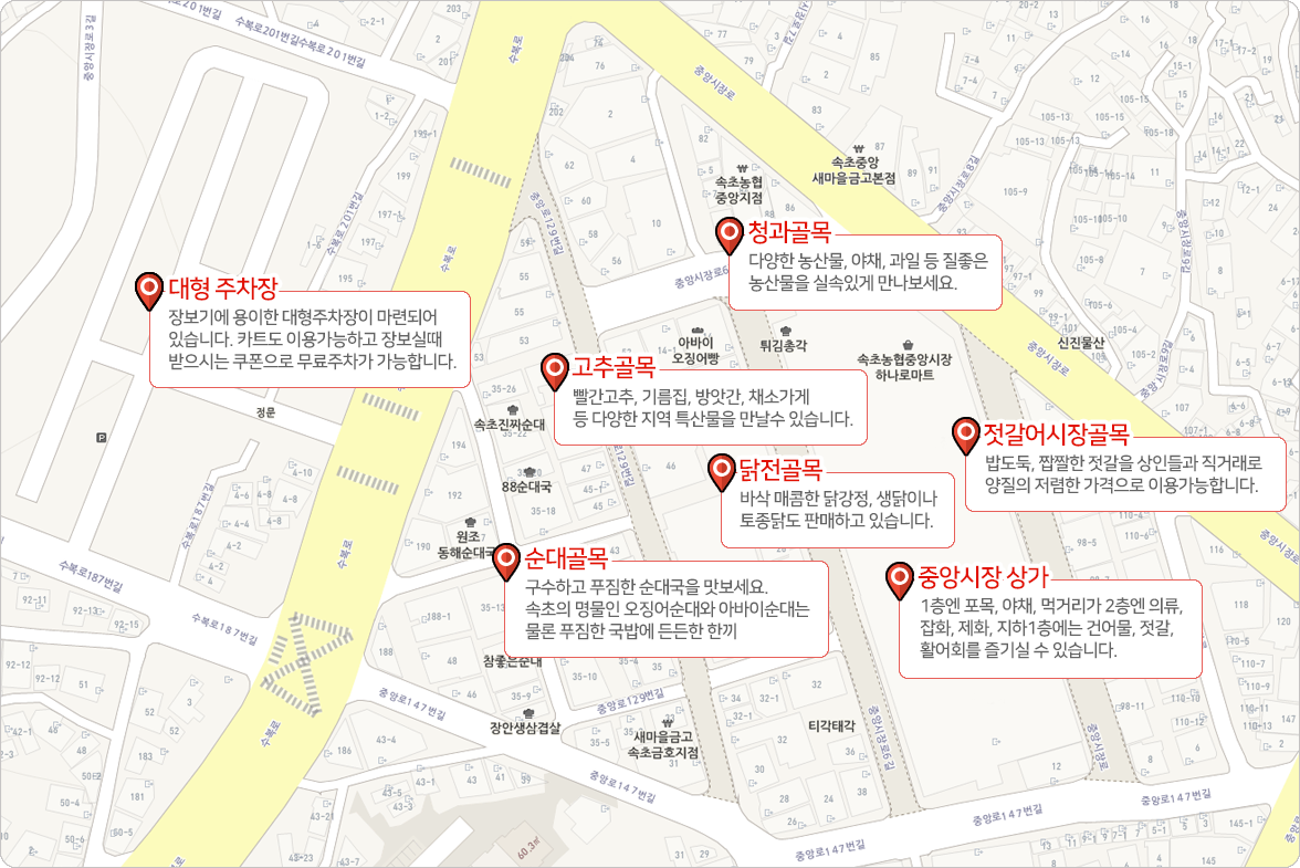 강원도 속초관광수산시장(중앙시장) 먹거리 맛집 영업시간 주차 방법 총정리